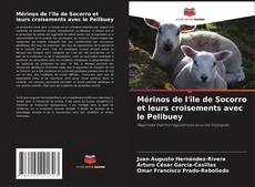 Buchcover von Mérinos de l'île de Socorro et leurs croisements avec le Pelibuey