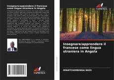 Bookcover of Insegnare/apprendere il francese come lingua straniera in Angola