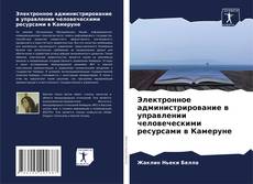 Portada del libro de Электронное администрирование в управлении человеческими ресурсами в Камеруне
