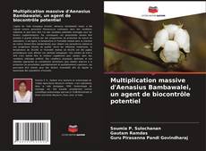 Copertina di Multiplication massive d'Aenasius Bambawalei, un agent de biocontrôle potentiel