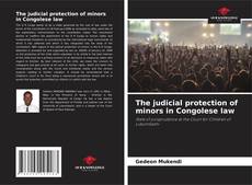 Buchcover von The judicial protection of minors in Congolese law