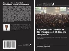 Buchcover von La protección judicial de los menores en el derecho congoleño