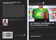 Couverture de Un análisis morfológico de los sustantivos bisa: