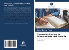 Copertina di Sinnvolles Lernen in Wissenschaft und Technik