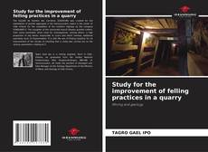Обложка Study for the improvement of felling practices in a quarry