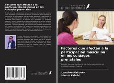 Bookcover of Factores que afectan a la participación masculina en los cuidados prenatales