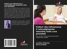 Copertina di Fattori che influenzano il coinvolgimento maschile nelle cure prenatali