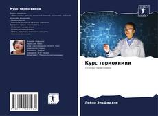 Buchcover von Курс термохимии