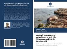 Buchcover von Auswirkungen von Abwässern auf die Wasserqualität in Bouismail