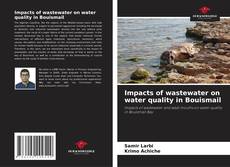 Обложка Impacts of wastewater on water quality in Bouismail