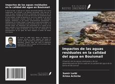 Capa do livro de Impactos de las aguas residuales en la calidad del agua en Bouismail 