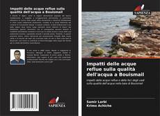 Copertina di Impatti delle acque reflue sulla qualità dell'acqua a Bouismail