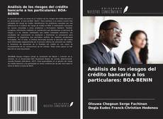 Couverture de Análisis de los riesgos del crédito bancario a los particulares: BOA-BENIN