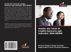 Copertina di Analisi dei rischi di credito bancario agli individui: BOA-BENIN