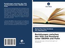 Copertina di Beziehungen zwischen den USA und Russland unter OBAMA und Putin