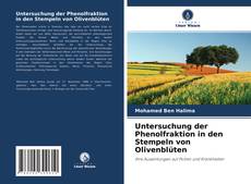 Copertina di Untersuchung der Phenolfraktion in den Stempeln von Olivenblüten