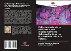 Buchcover von Épidémiologie de la résistance aux médicaments de Salmonella dans les échantillons liés à la volaille