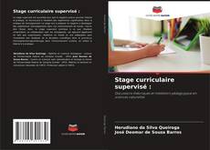 Stage curriculaire supervisé : kitap kapağı
