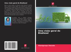 Uma visão geral do Biodiesel kitap kapağı
