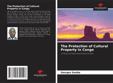 The Protection of Cultural Property in Congo的封面