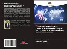 Buchcover von Nexus urbanisation, consommation d'énergie et croissance économique