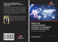 Copertina di Nesso tra urbanizzazione, consumo di energia e crescita economica