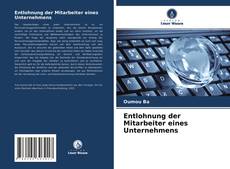 Copertina di Entlohnung der Mitarbeiter eines Unternehmens