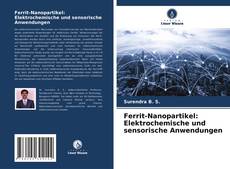 Ferrit-Nanopartikel: Elektrochemische und sensorische Anwendungen kitap kapağı