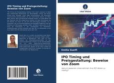 IPO Timing und Preisgestaltung: Beweise von Zoom kitap kapağı