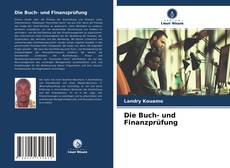 Portada del libro de Die Buch- und Finanzprüfung