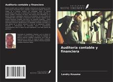 Bookcover of Auditoría contable y financiera