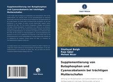 Обложка Supplementierung von Butaphosphan und Cyanocobalamin bei trächtigen Mutterschafen