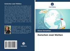 Zwischen zwei Welten的封面