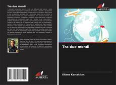 Bookcover of Tra due mondi