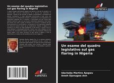 Un esame del quadro legislativo sul gas flaring in Nigeria kitap kapağı