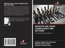 IMPATTO DEI TEAM CONSOLIDATI NEL SETTORE kitap kapağı