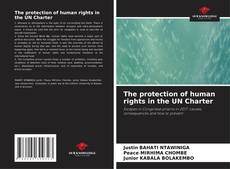 Обложка The protection of human rights in the UN Charter
