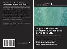 Bookcover of La protección de los derechos humanos en la Carta de la ONU