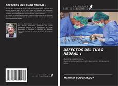 Bookcover of DEFECTOS DEL TUBO NEURAL :