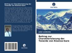 Buchcover von Beitrag zur Charakterisierung der Tonerde von Kisenso-Gare