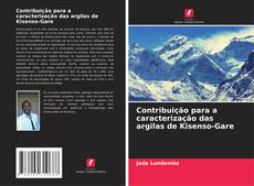Buchcover von Contribuição para a caracterização das argilas de Kisenso-Gare