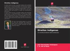 Buchcover von Direitos indígenas