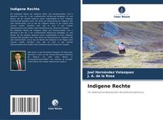 Copertina di Indigene Rechte