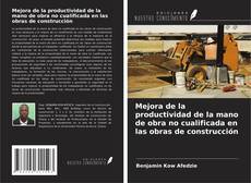 Bookcover of Mejora de la productividad de la mano de obra no cualificada en las obras de construcción