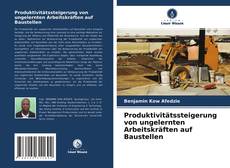 Copertina di Produktivitätssteigerung von ungelernten Arbeitskräften auf Baustellen