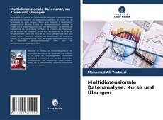 Copertina di Multidimensionale Datenanalyse: Kurse und Übungen
