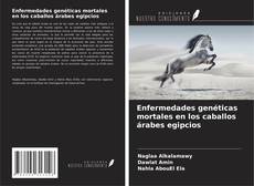 Buchcover von Enfermedades genéticas mortales en los caballos árabes egipcios
