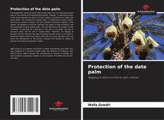 Buchcover von Protection of the date palm