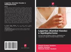 Bookcover of Lagartas (Kambal Keeda) e lepidopterismo
