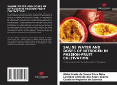 Обложка SALINE WATER AND DOSES OF NITROGEN IN PASSION-FRUIT CULTIVATION